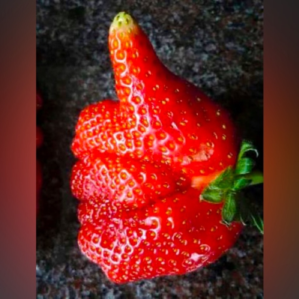 Meet your Posher, CC